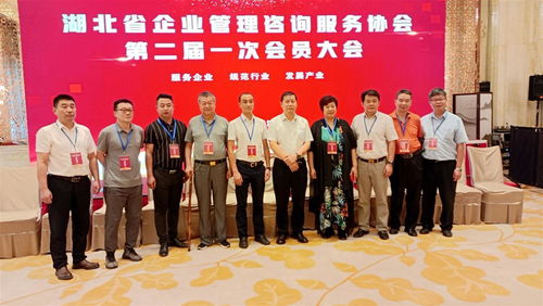 湖北省企業(yè)管理咨詢服務(wù)協(xié)會(huì)換屆,程鵬當(dāng)選為會(huì)長